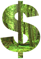 tree_dollar_sign1